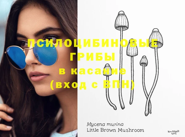 а пвп мука Краснослободск