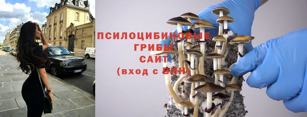 стаф Абинск