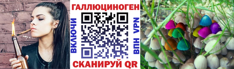 Псилоцибиновые грибы Cubensis  Янаул 