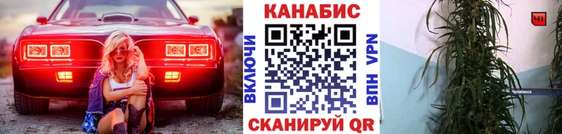 Шишки марихуана план  Янаул 